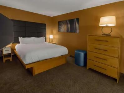 DoubleTree by Hilton Niagara Falls New York - 5