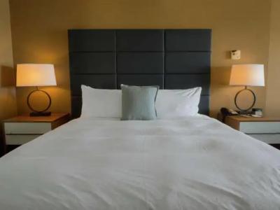 DoubleTree by Hilton Niagara Falls New York - 5