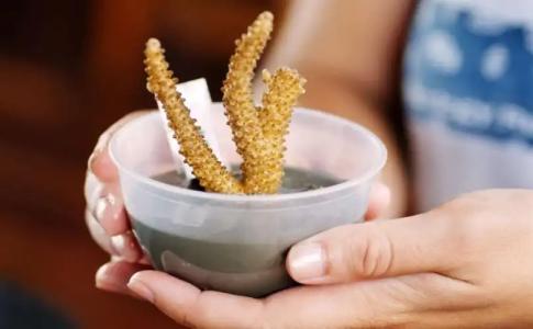 Gayana Marine Resort - 11