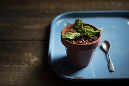 InterContinental Singapore Robertson Quay by IHG - 12