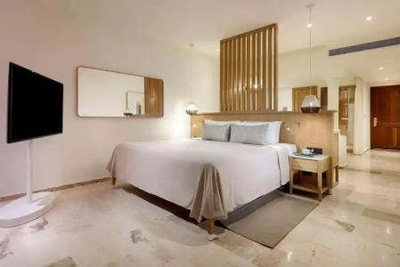 Paradisus Palma Real Golf & Spa Resort All Inclusive - 45