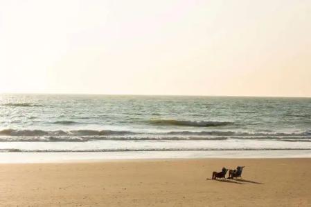 Gran Meliá Sancti Petri - 32