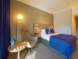 Superior room with balcony and with park view