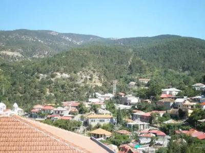 Christys Palace - 27