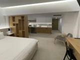 Premium Studio with balcony and with sea view