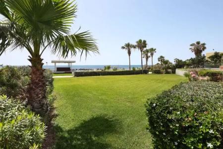 Paradise Cove Luxurious Beach Villas - 229