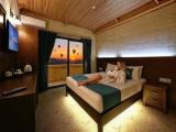 Standard room with balcony and with panoramic view
