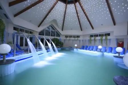 Orchidea Lipót - 10