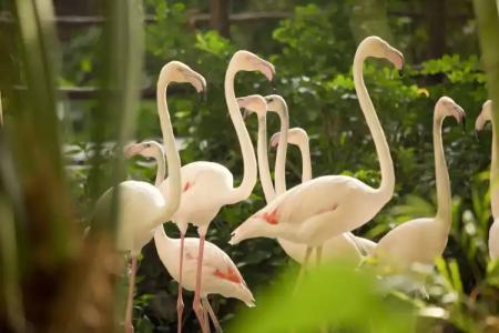 Tropical Islands - 36