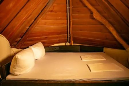 Tropical Islands - 66