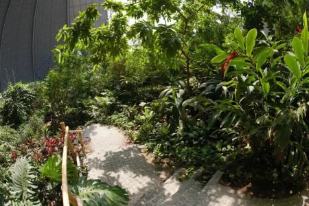 Tropical Islands - 16