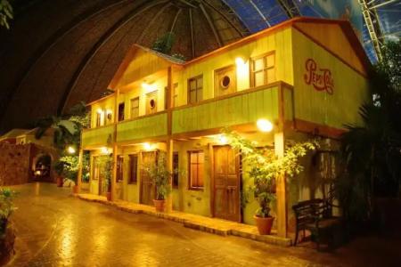 Tropical Islands - 61