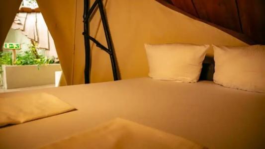 Tropical Islands - 69