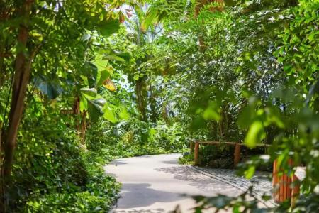 Tropical Islands - 32