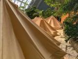 Family Tent