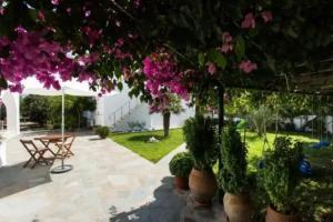 Rodia Studios & Apartments, Parikia