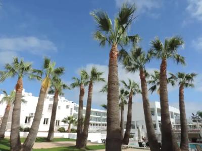 La Casa Di Napa Apartments - 18