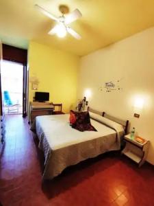 Palazzi - 37