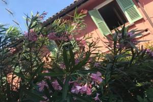 Il Giardino Segreto Arona, Arona