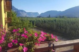 Farm Stay «Agritur Clementi», Fai della Paganella