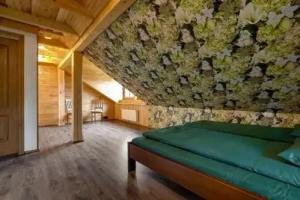 Paegli Guest house, Ladezers