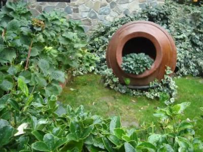 Rodon and Resort - 21