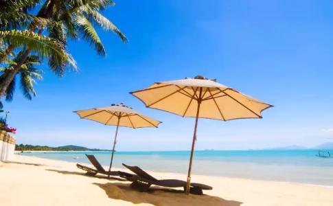 Samui Zenity - 18
