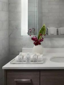 AKA University City - 9