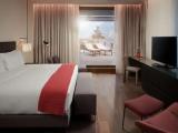 Presidential Rooftop Suite