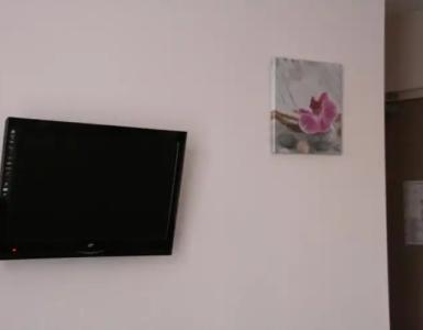 Hôtel du Roussillon - 30