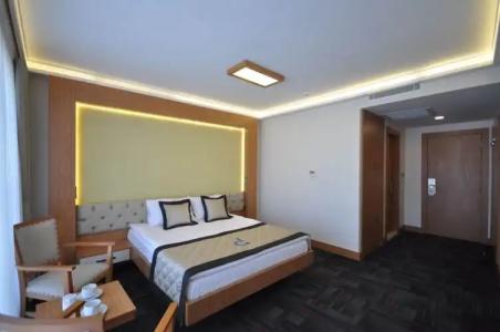 Double Comfort - 47