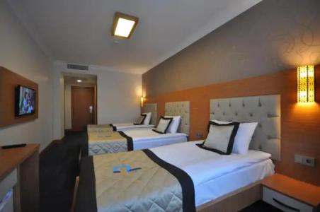 Double Comfort - 40
