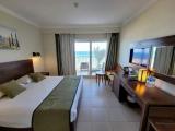 Standard Double room with balcony and with view