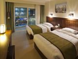 Standard Double room with balcony and with view