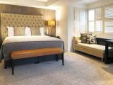 Suite with park view
