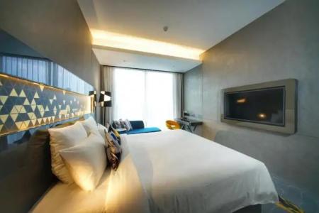 Novotel Singapore On Stevens - 56