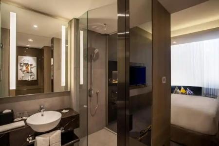 Novotel Singapore On Stevens - 54