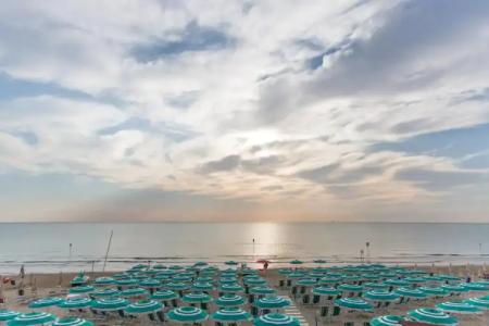 Saint Tropez - Pineto - 17