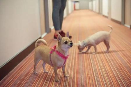 Ace Hôtel Chartres - 21