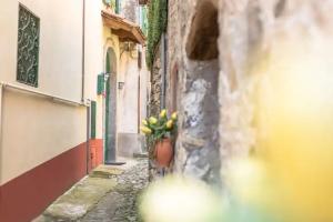 Bed & Breakfast «B&B Ca' Spiga», Laglio