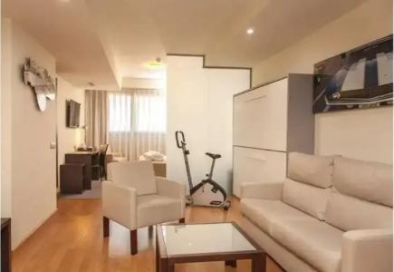 Sercotel Convention Plaza Madrid - 30