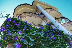 Stone Hill Hotel, Ayvalik