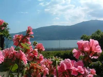 Residence Tre Ponti - 22