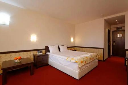Trinity Residence Bansko - 31