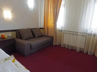 Trinity Residence Bansko - 53