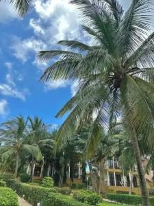 Sunset Kendwa Beach - 24