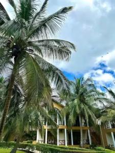 Sunset Kendwa Beach - 26