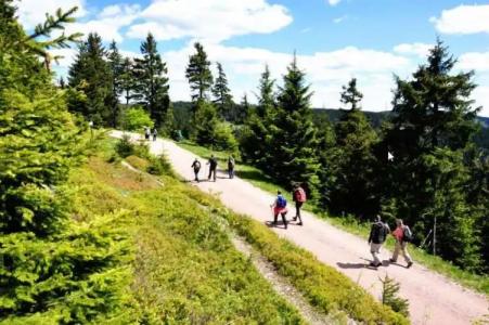 & Pension Traumblick - 29