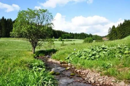 & Pension Traumblick - 28