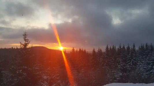 & Pension Traumblick - 39